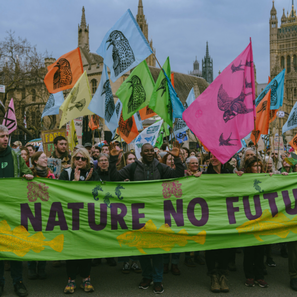 Ecocide as a Crime: Advancing Environmental Justice Through the Lens of Human Rights