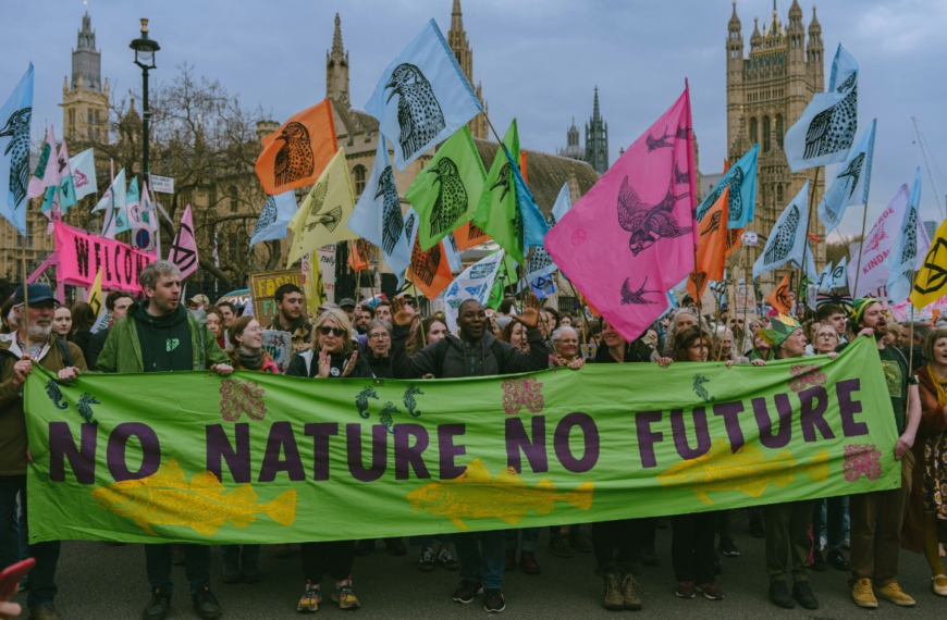 Ecocide as a Crime: Advancing Environmental Justice Through the Lens of Human Rights
